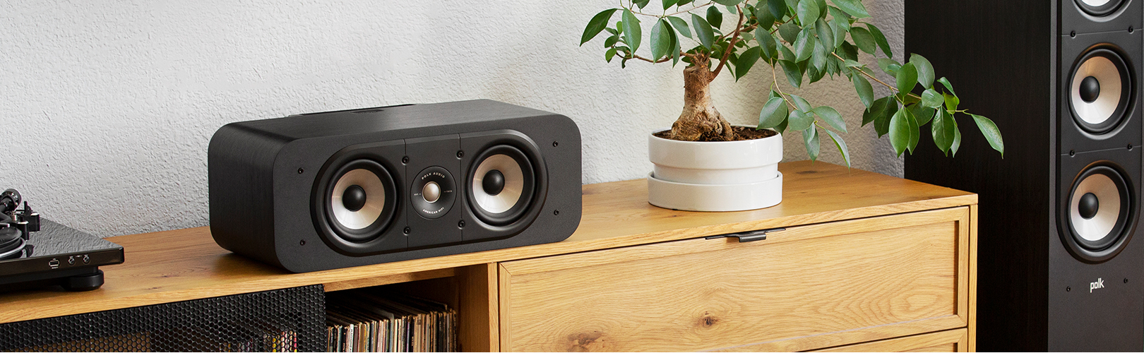 Polk Audio Speakers